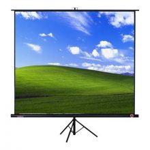 Màn chiếu chân 2.44m x 2.44m dalite 136 inch (màn chiếu đứng có chân)