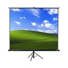 Màn chiếu chân 2.13m x 2.13m APOLLO/DALITE 120 inch (màn chiếu đứng có chân)