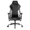 Ghế Gaming DXRacer Craft Pro Stripes1 Black White (GC/LCF23LTA/EMAZE)