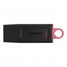 USB Kingston 256GB DataTraveler Exodia USB 3.2 (DTX/256GB)