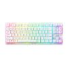 Bàn Phím Cơ Không Dây Razer DeathStalker V2 Pro Tenkeyless Low Profile White Edition Red Switch (RZ03-04373500-R3M1)