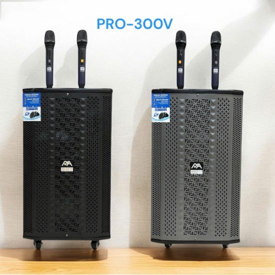 Loa Karaoke Di Động NOVA AUDIO PRO-300V