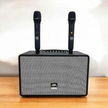 Loa Karaoke Di Động Nova Audio PRO-200V Black (100W RMS, Bluetooth, AUX, HDMI, Optical, Kèm 2 Micro Không Dây, Guitar)