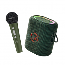 Loa Karaoke Di Động Alpha Works SONIK Plus Green (20W, Bluetooth 5.3, AUX, Pin 6 giờ, Led RGB, Kèm 1 micro không dây)