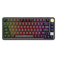 Bàn Phím Cơ EDRA EK375MS - EDRA Magnet Switch (Switch nam châm, USB-C, PBT Keycap, Gasket Mount, Rainbows LED)