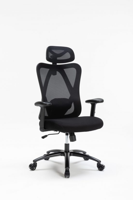 Ghế Công Thái Học WARRIOR Hero Series – WEC501 Plus Black