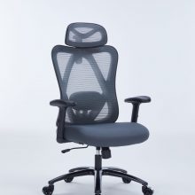 Ghế Công Thái Học WARRIOR Hero Series – WEC501 Plus Black/Grey