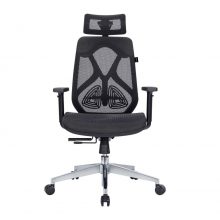 Ghế Công Thái Học E-DRA EEC227