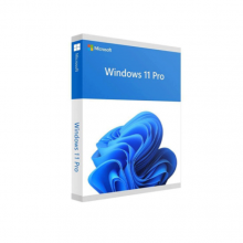 Phần Mềm Microsoft Windows Pro 11 64Bit ESD FQC-10572