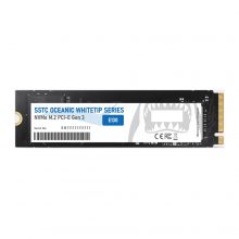 Ổ Cứng Gắn Trong SSD SSTC E130 PLUS 256GB M.2 2280 NVMe PCIe Gen3x4