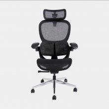 Ghế Công Thái Học Epione SynoChair - All Black