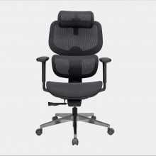 Ghế Công Thái Học Epione FortisChair 2.0