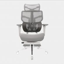 Ghế Công Thái Học Epione AliusChair - Cool Gray