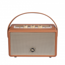 Loa di động Alpha Works W88 BROWN (45W, Bluetooth 5.3, Pin 4.5h, USB-A 2.0, Sạc USB-C)