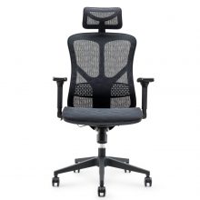 Ghế Công Thái Học WARRIOR Marshal - WEC610 (JNS-521)