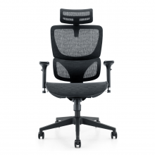 Ghế Công Thái Học WARRIOR Marshal - WEC620 (JNS-101)