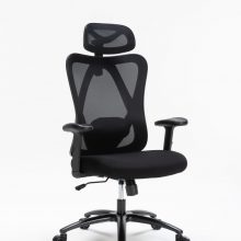 Ghế Công Thái Học WARRIOR Hero Series – WEC501 Plus Black