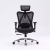 Ghế Công Thái Học Ergonomic Sihoo M57-N101 (Khung Đen Lưới Đen)