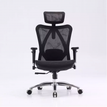 Ghế Công Thái Học Ergonomic Sihoo M57-N101 (Khung Đen Lưới Đen)