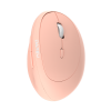 Chuột Không Dây DareU LM158D Ergo Pink (Bluetooth + 2.4GHz, 1600 DPI, Pin 1xAA)