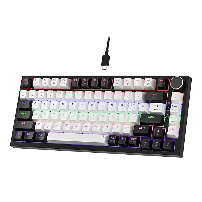 34943-ban-phim-co-newmen-gm326-black-white-red-switch-philong-1 Bàn phím cơ Newmen GM326 Black White - Red Switch (75%, Núm xoay, Hotswap, Led Rainbow, USB-C)