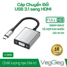 Đầu Chuyển Type-C 3.1 sang VGA Âm VegGieg V-Z916 (1920*1080/60Hz)