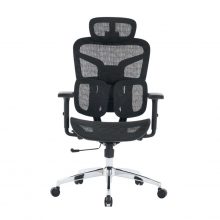 Ghế Công Thái Học EDRA EEC226 (Kê tay 3D, Tựa đầu 3D, Đệm lưng lò xo)