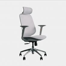 Ghế Công Thái Học Epione ElysChair - Cool Gray
