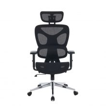 Ghế Công Thái Học EDRA EEC229 (Kê tay 3D, Tựa đầu 1D, Chân kim loại)