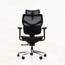 Ghế Công Thái Học Epione FortisChair 3.0