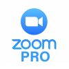 Dịch Vụ Trực Tuyến Zoom Workplace Pro 300 Participants (Gói 1 năm)