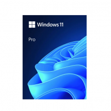 Windows 11 Pro FPP 64-bit Eng Intl USB (HAV-00163)