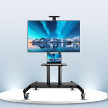 Giá Treo Tivi Di Động Ergotek E2600 55-100 inch
